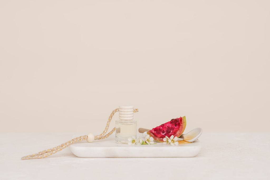 Cactus Flower: Car Diffuser
