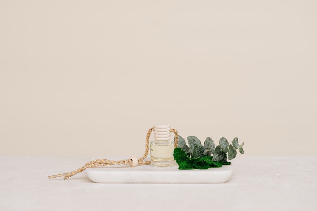 Eucalyptus Mint: Car Diffuser