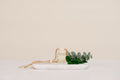Eucalyptus Mint: Car Diffuser