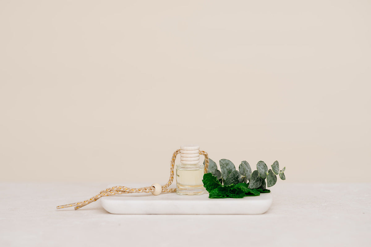 Eucalyptus Mint: Car Diffuser